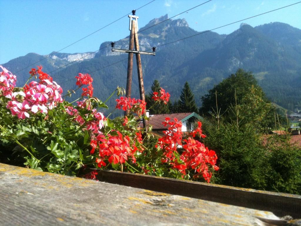 Pension Larchenhof Maurach  Ruang foto