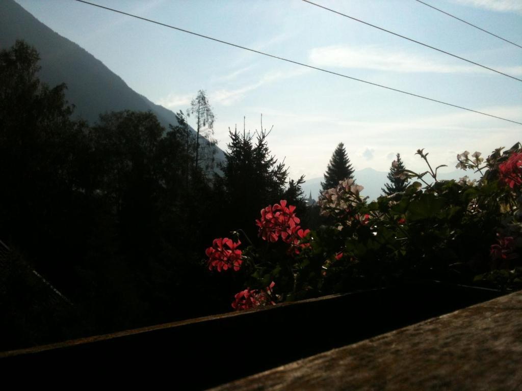 Pension Larchenhof Maurach  Bagian luar foto